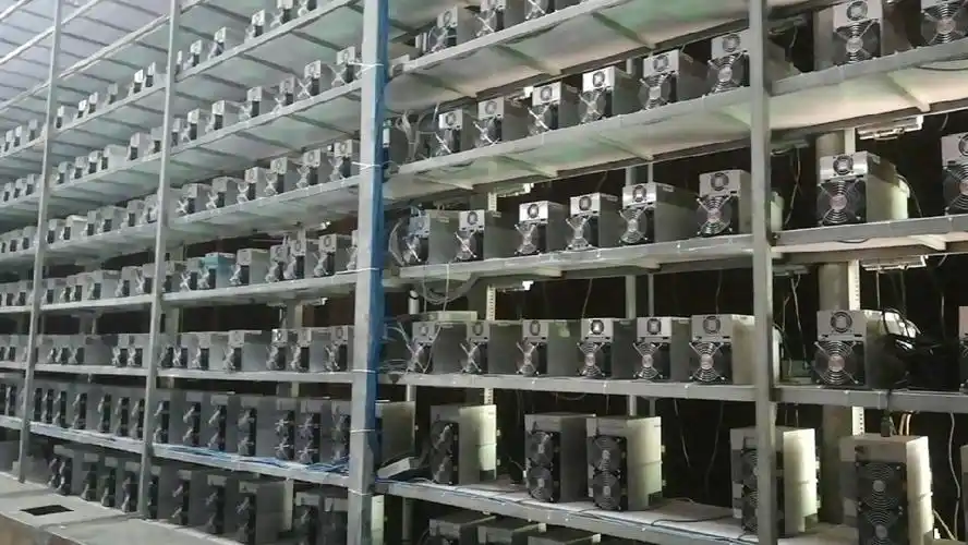 A mining farm powered by a large solar panel array, showcasing a commitment to sustainable energy practices.