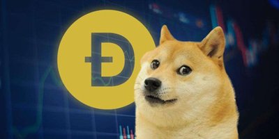 A high-performance Bitcoin mining rig ready for operation