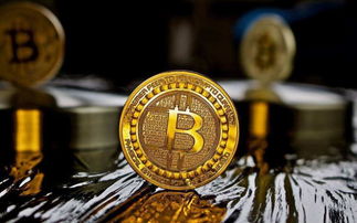 Cutting-edge Japanese Bitcoin mining machine in operation